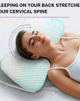 New Space Memory Cotton Butterfly Pillow Protects Cervical Spine with Slow Rebound Pillow Core Hotel Pillow