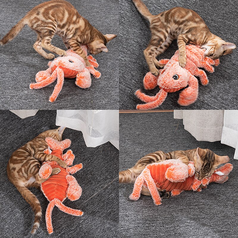 
  
  USB Pet Cat Toys  Floppy Lobster Interactive Cat Toy
  
