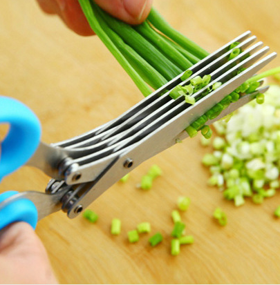 
  
  Tainless Steel Multi-function Kitchen Multi-layer Spice Chopped Green Onion Cut Five-layer Scissors
  
