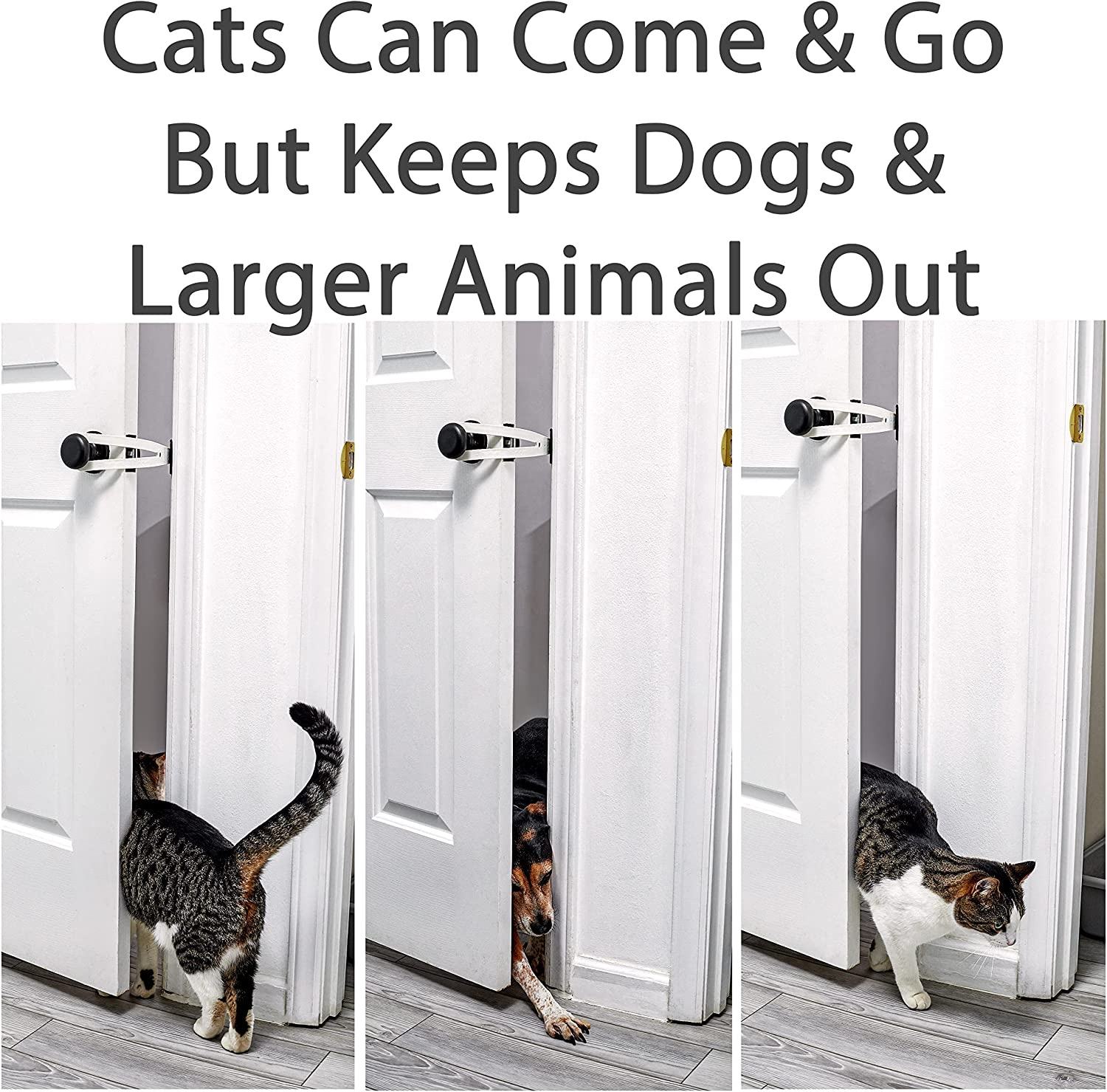 
  
  Pet Cat Door Holder Latch Cat Elastic Door Lock Preventing Dogs From Entering
  
